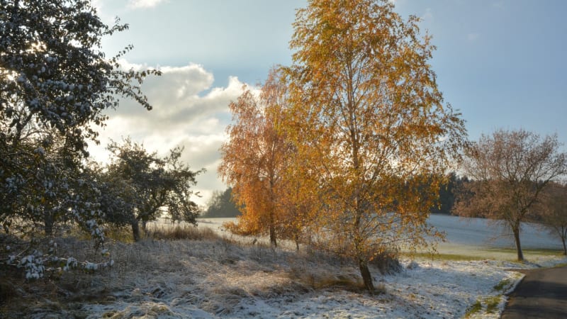 RADAR: Česko čeká teplotní šok. Už brzy dorazí studená fronta, může ji provázet sněžení