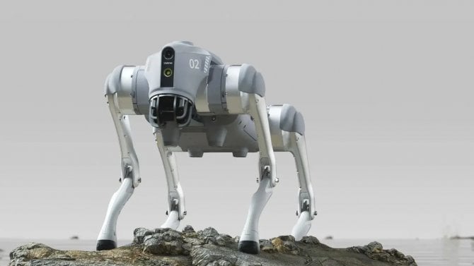 Po humanoidech začala Alza prodávat i robopsy. Cena nejlevnějšího příjemně překvapí