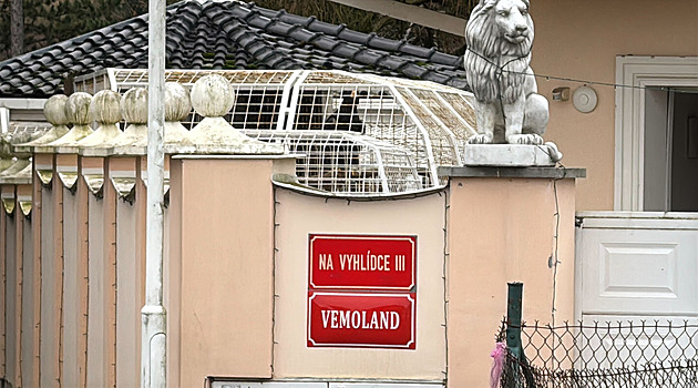 Vémola a kolotočář. Jak se bojovník MMA stal právoplatným členem podsvětí