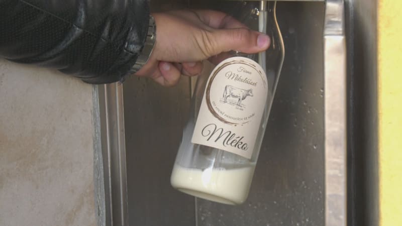 Ceny mléka prudce klesají, podniky počítají milionové ztráty. Zlevňují i další produkty