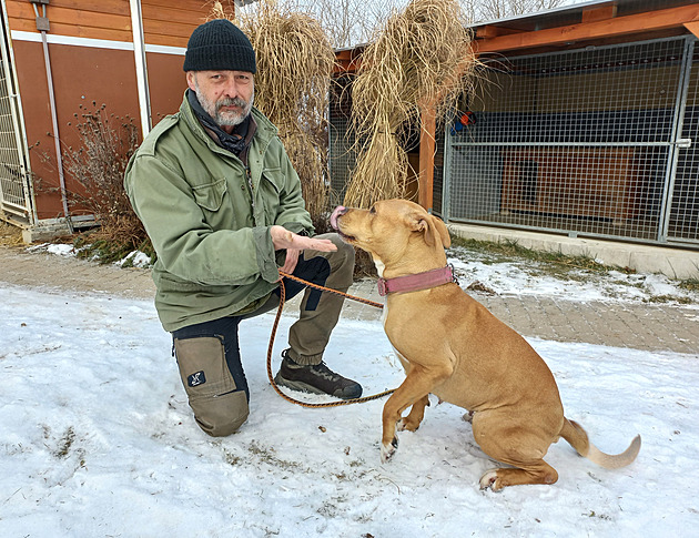 Kössl už neřídí útulek, který založil. Zvířata budu odchytávat dál, ujišťuje