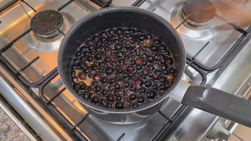 Světoví lídři potravinářství vybrali příchuť roku. Proč je černý rybíz superpotravina?