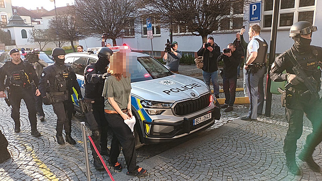 První dva podezřelé ze žhářského útoku v Pardubicích poslal soud do vazby