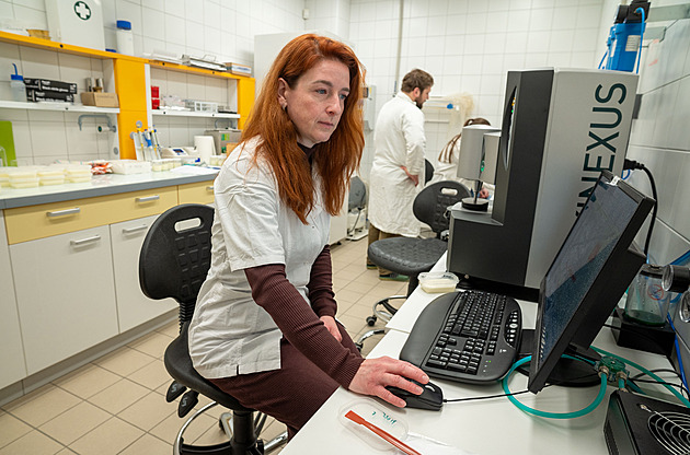 Nízkotučný trend není vždy správně. Barva prozradí o mléku hodně, líčí vědkyně