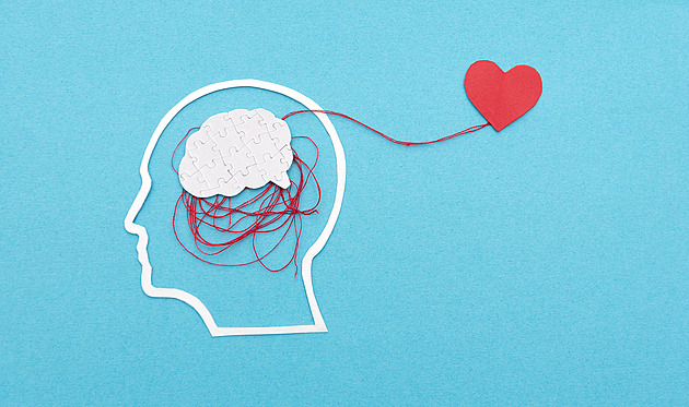 Samo sobě mozkem. Srdce je autonomní orgán, vyplatí se mu naslouchat, říká lékař