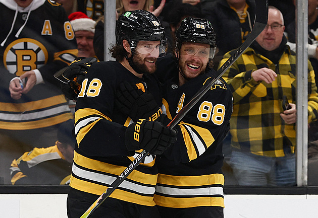 Posily z NHL na MS v hokeji: Končí Boston i Vejmelka. Kteří Češi obohatí národní tým?
