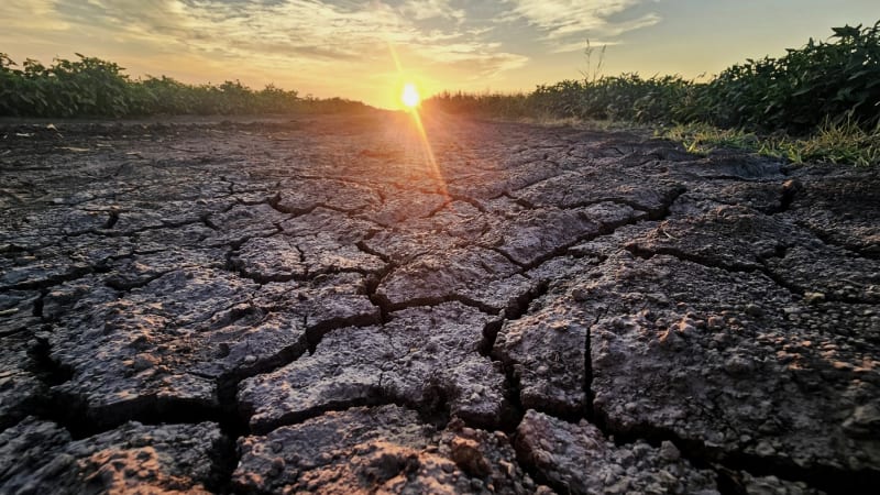 Rekordní super El Niño s extrémními teplotami? Klimatolog popsal, jak ovlivní počasí v Česku